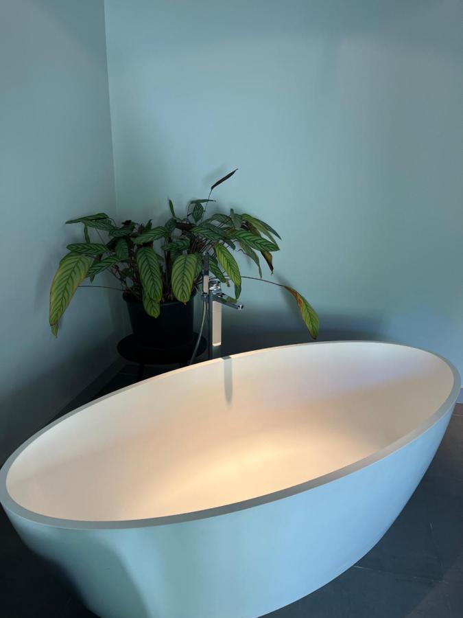Lafitenia Resort Villa Choriekin 圣让－德吕兹 外观 照片